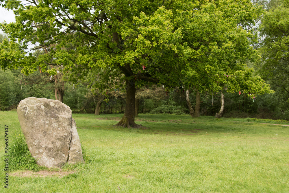 Sarcen stone, Nine Ladies stone circle, Derbyshire, UK
