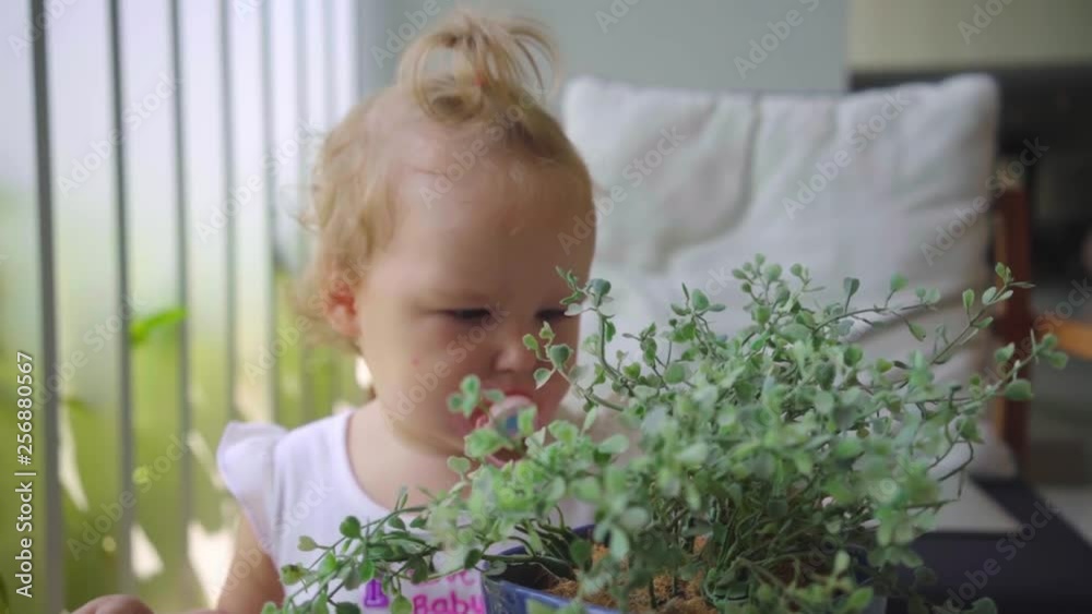 a bearded male freelancer works at a computer, a daughter interferes and plays with a flower next to a dad businessman. dad gently jerks daughter by the tail. slow motion a bearded male freelancer works at a computer, a daughter interferes and plays with a flower next to a dad businessman. dad gently jerks daughter by the tail. slow motion