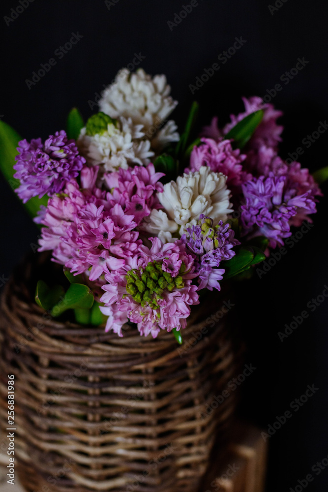 hyacinths in leaves in a flower shop