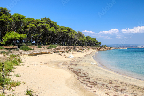 Overview of the Island of San Pietro  Cheradi Islands of Taranto  Puglia  Italy