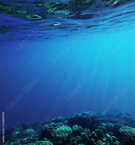 underwater deep blue sea