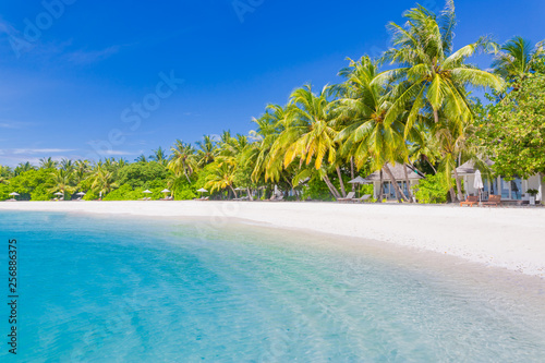 Fototapeta Naklejka Na Ścianę i Meble -  Amazing landscape, tropical beach view. Horizon and amazing blue sea. Perfect luxury vacation and holiday concept