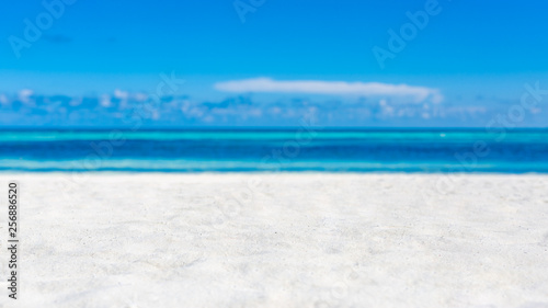 Fototapeta Naklejka Na Ścianę i Meble -  Empty tropical beach scene, white sand blue sky and blue sea view. Minimal beach background concept