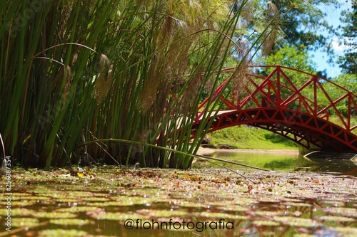 Jardim Bot  nico de Bras  lia