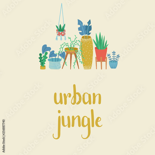 Urban jungle, replanting, gardening concept.