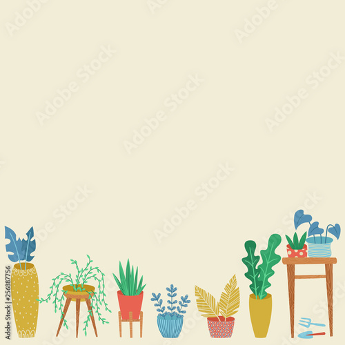 Urban jungle, replanting, gardening concept