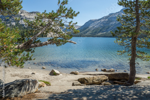 Tenaya Lake at Yosemite framed by trees