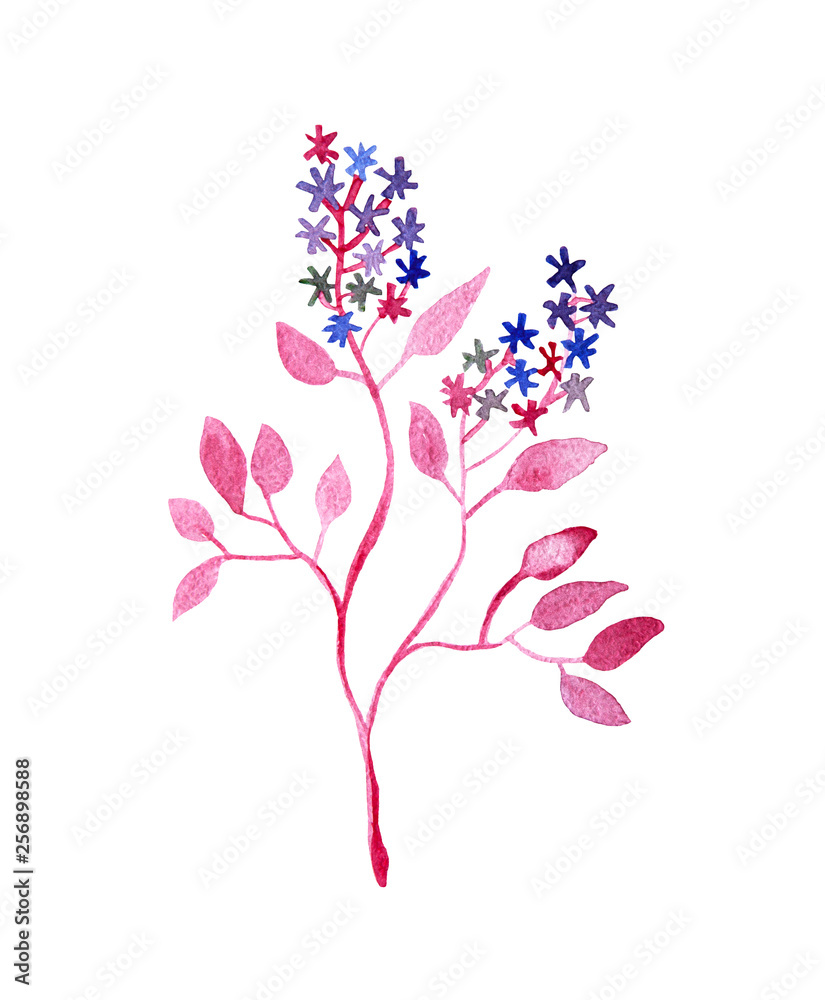 Pink branch plant with flowers and leaves, blossom watercolor painting isolated on white background