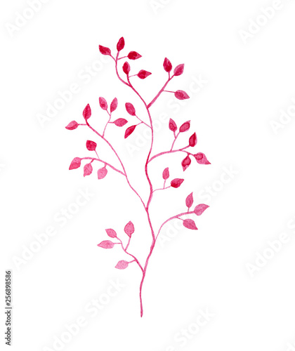 Pink branch plant with leaves  floral watercolor painting isolated on white background