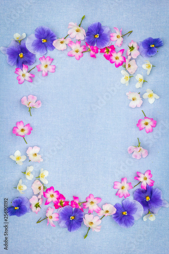 Beautifuil  natural frame with violet pansies and pink roses on blue  fabric background