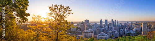 Fototapeta Naklejka Na Ścianę i Meble -  Amazing view of Montreal city at sunrise with colorful blue architecture, green and yellow landscape. Beautiful sky and sun light over Montreal downtown skyline in morning time. Magic Canadian city.