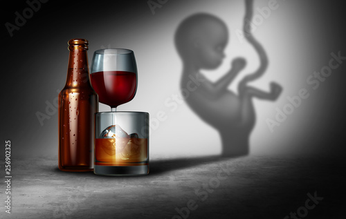 Alcohol And Pregnancy photo