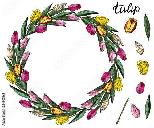 Fototapeta Naklejka Na Ścianę i Meble -  Romantic wreath of tulip flowers and leaves and wreath elements. Spring multicolored flowers. Yellow and pink tulips.