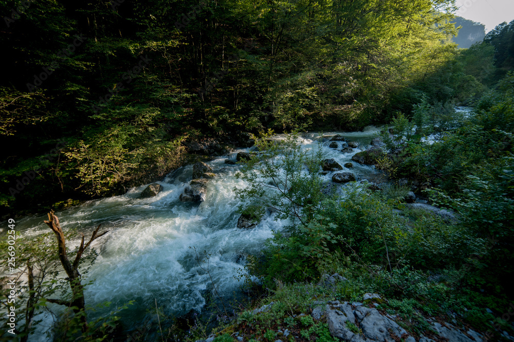 Obraz premium wilderness at the river