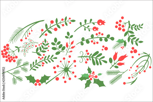 Flat vectoe sof natural decorative elements. Red rowan berries, branches of fir, green leaves and other blossoming plants. Design for greeting card