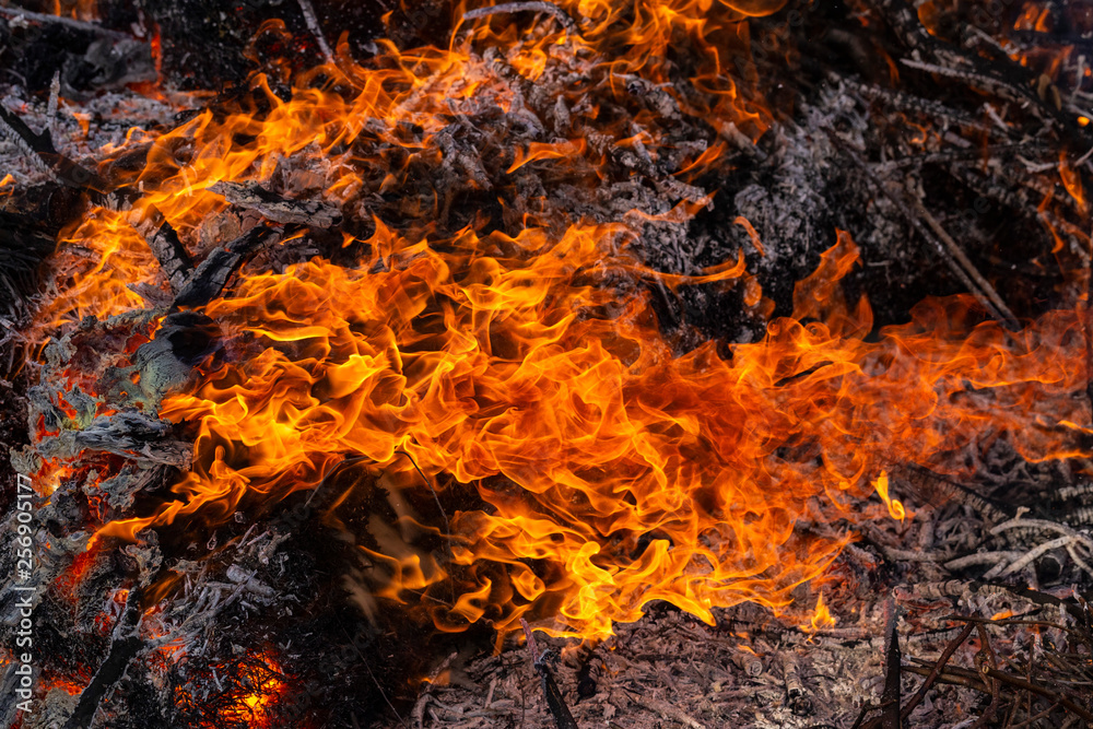 Flaming fire. Burning tree branches. Pagan rite dedicated to the arrival of spring. Big bonfire on Shrovetide. Flaming fire. Burning tree branches. Pagan rite dedicated to the arrival of spring. Big bonfire on Shrovetide.