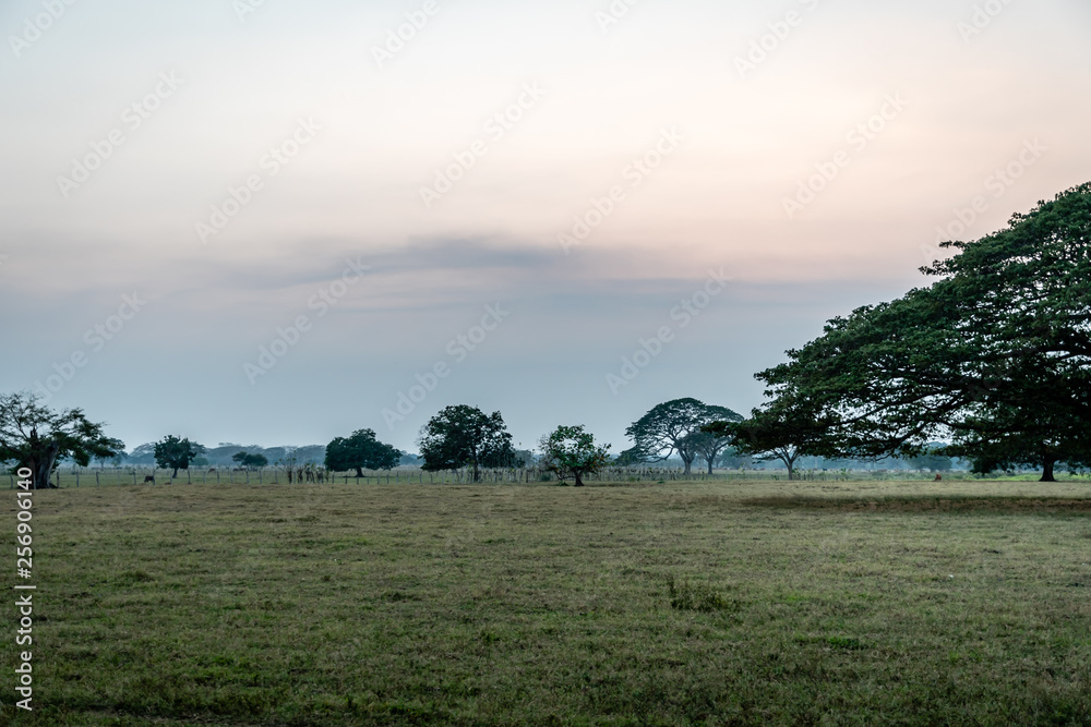 Guatemalan farm land at sunset