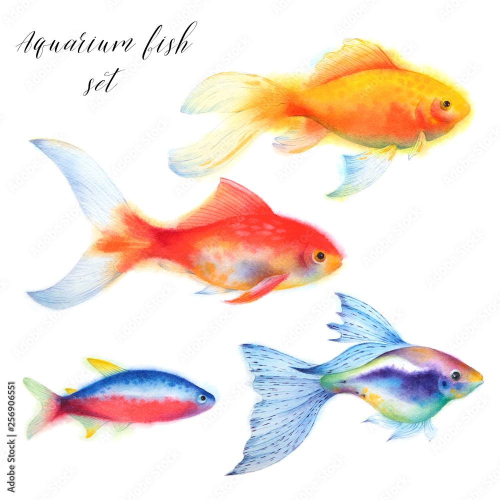 Set of aquarium fish. Goldfish, guppy,  and cardinal tetra. Watercolor illustartion. Tropical sea wildlife.