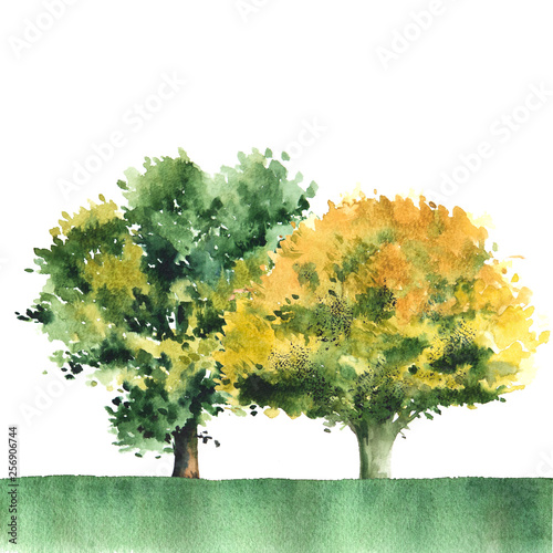 Watercolor landscape with two green and yellow trees.
