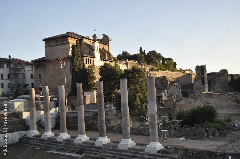 Fototapeta premium Ancient Columns in Rome, Italy