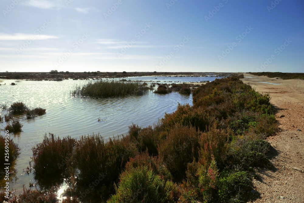 Naturlandschaft um Almería in Andalusien, Spanien