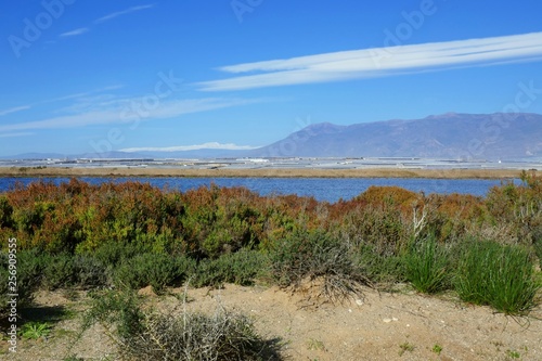 Naturlandschaft um Almer  a in Andalusien  Spanien