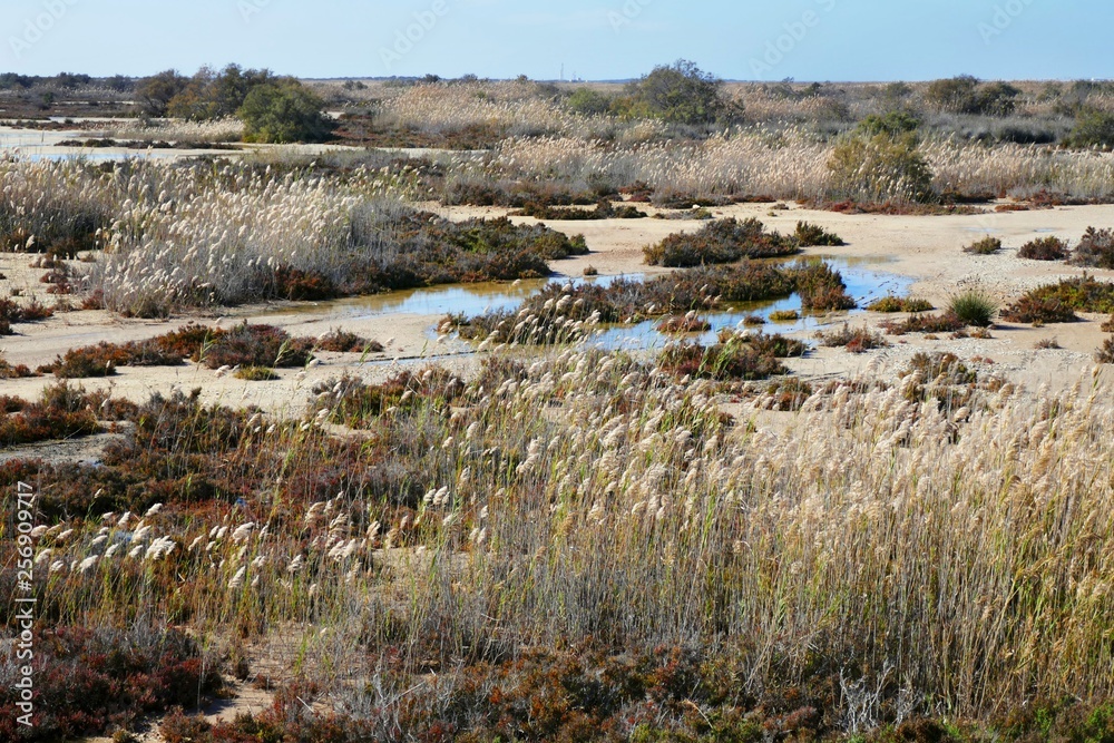 Naturlandschaft um Almería in Andalusien, Spanien Naturlandschaft um Almería in Andalusien, Spanien