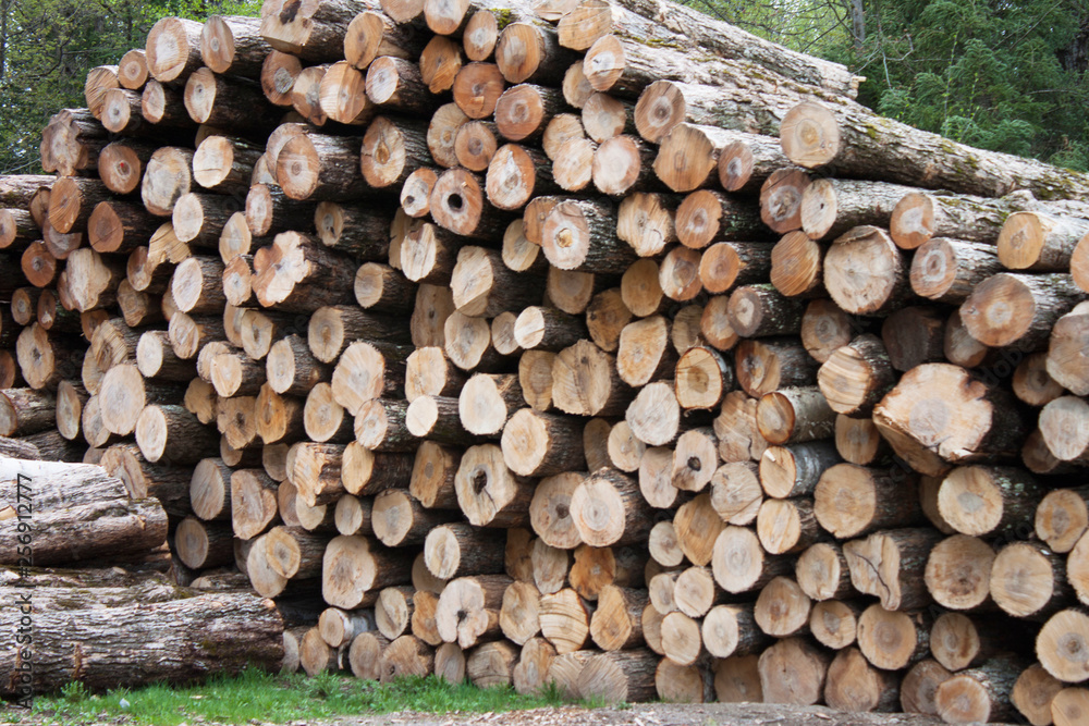 Wood Stacks Wood Stacks