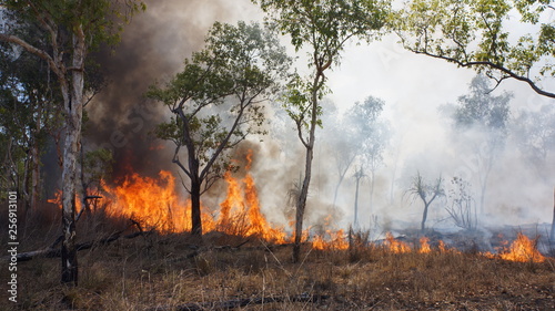Incendie en australie © Sebastien Barrio