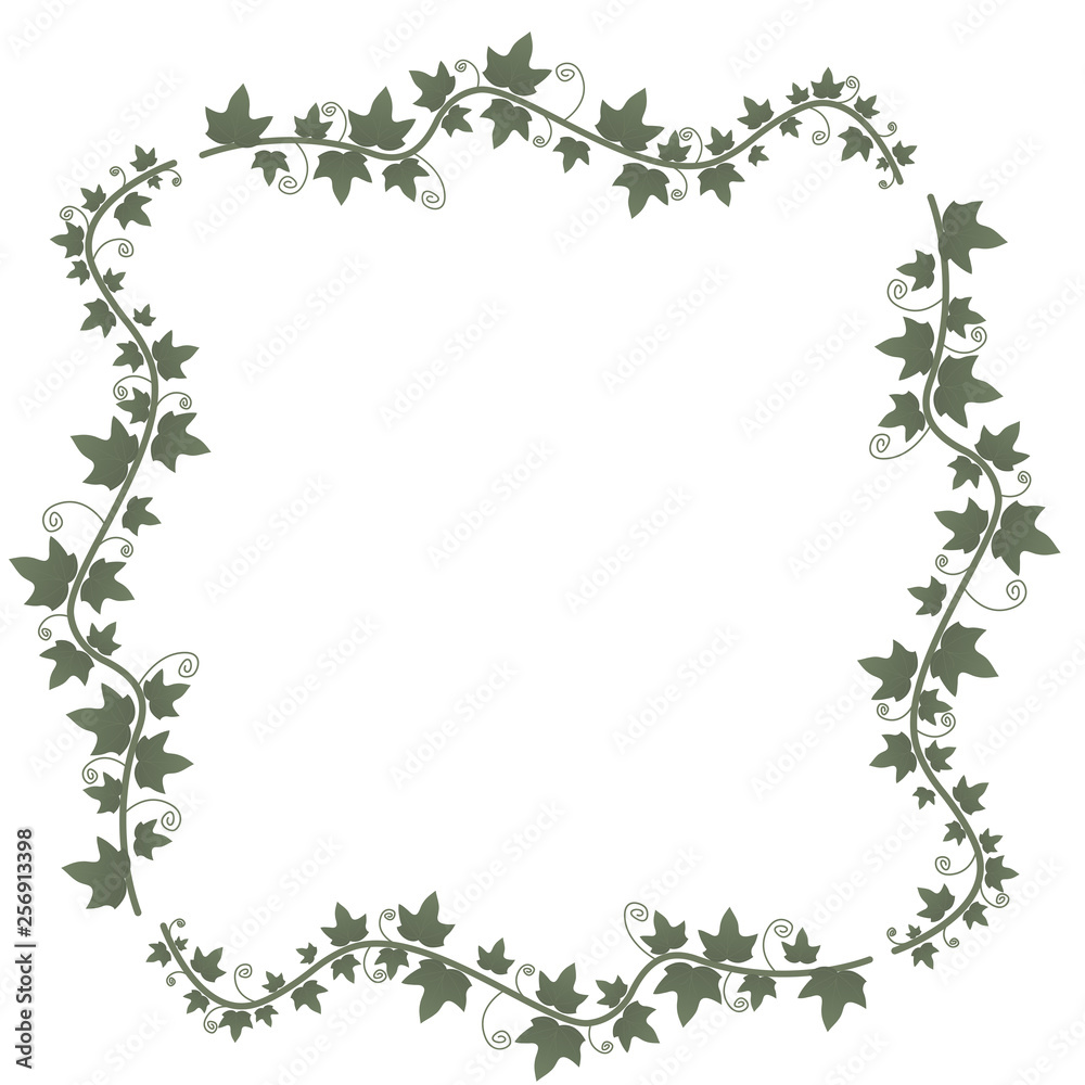 Ivy vines with green leaves. Floral vector frame.Illustration green plant, twig of a vine. Ivy vines with green leaves. Floral vector frame.Illustration green plant, twig of a vine.