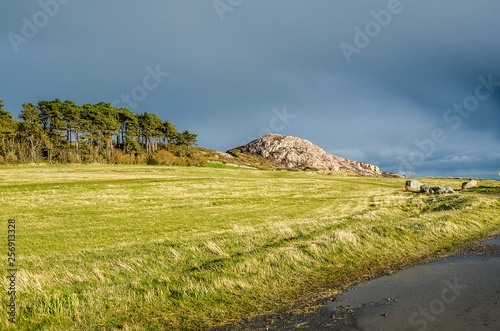 green landscape