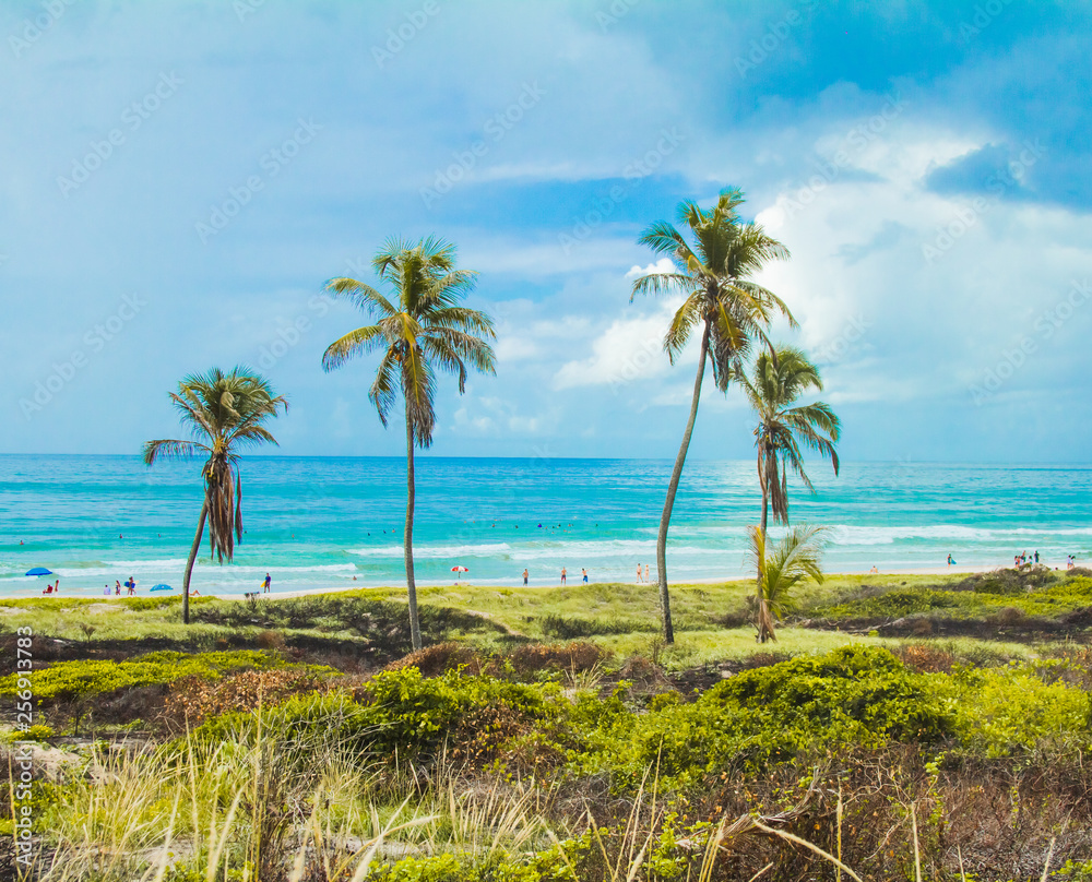 Fototapeta premium Summer Paradise