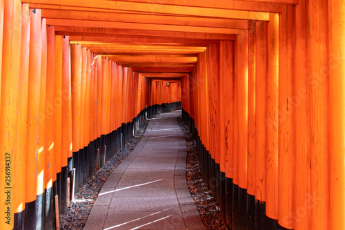 red torii gates without writing in Fushimi Inari shrine in kyoto Japan