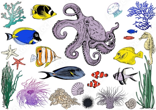 Set of underwater creatures, tropical fishes and corals. Hand drawn vector. Isolated elements for design.