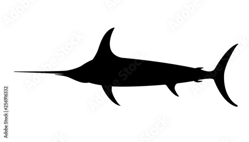 atlantic swordfish vector illustration   black silhouette