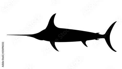 atlantic swordfish,vector illustration , black silhouette