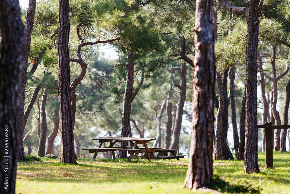 Photo of park with trees, wooden benches, table.