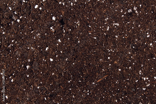 organic potting soil texture background top view