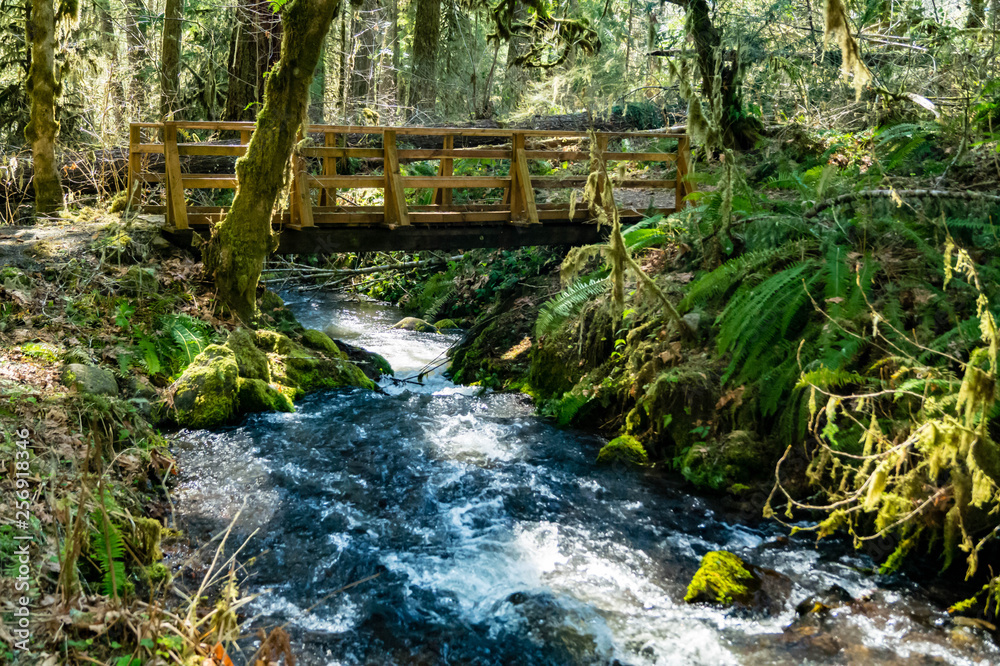A bridge crosses Soda Creek in Cascadia State Park near Sweet Home, Oregon