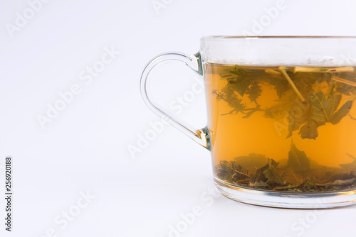green herbal tea in a transparent cup isolated on white background