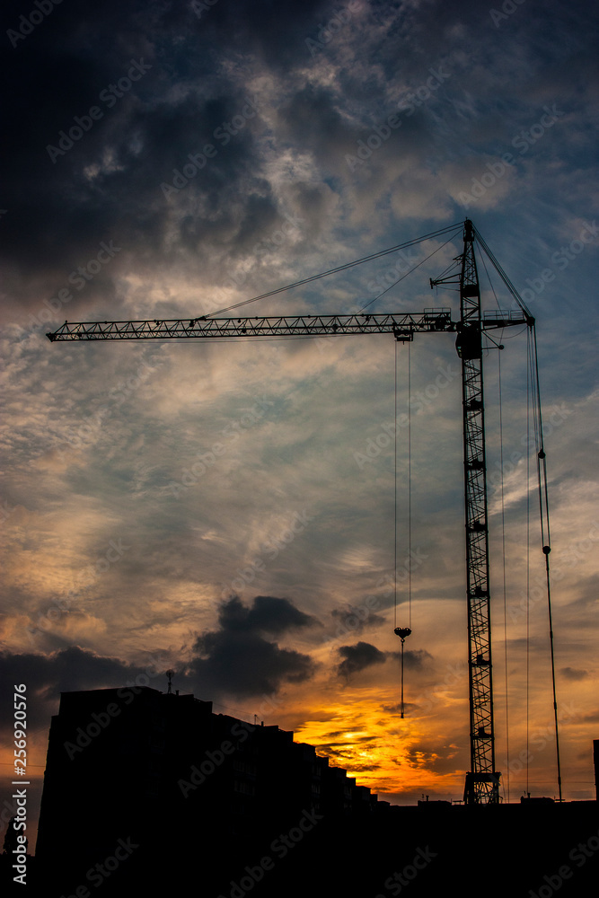 crane