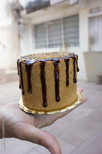 chocolate cake with drips aside