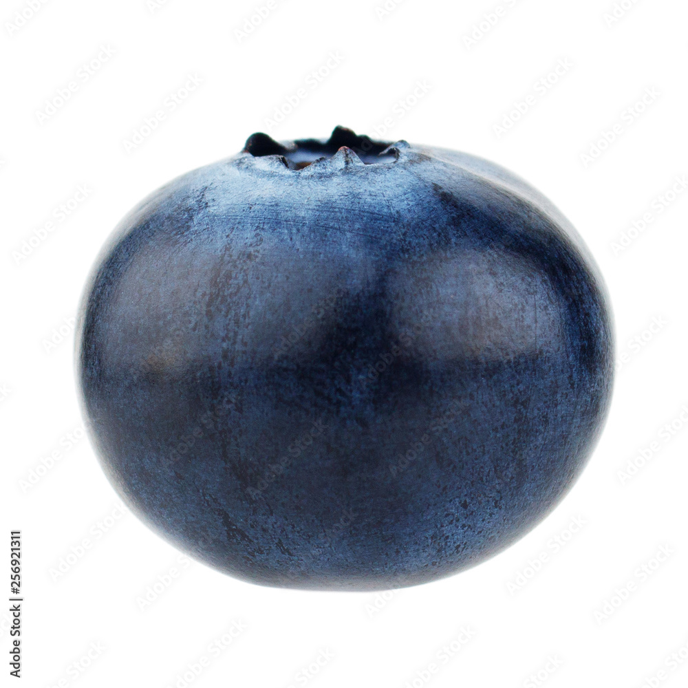 Blueberry isolated on white background Blueberry isolated on white background