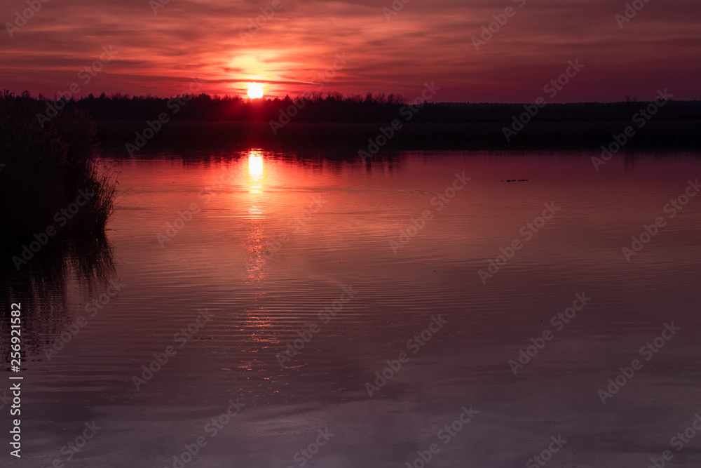 Obraz premium Abendrot am Federsee