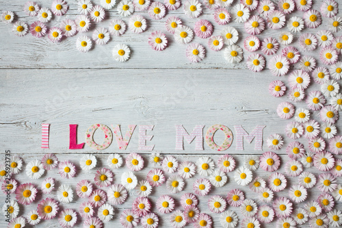 Greeting card background with flowers daisies for Mother's Day