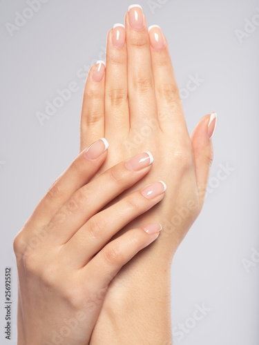  Beautiful female hands. Woman hands with beautiful french manicure  nails.