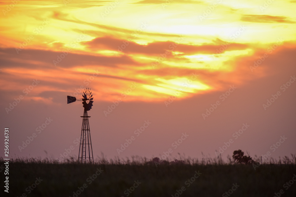 Windmill in the field, at sunset, Pampas, Argentina
