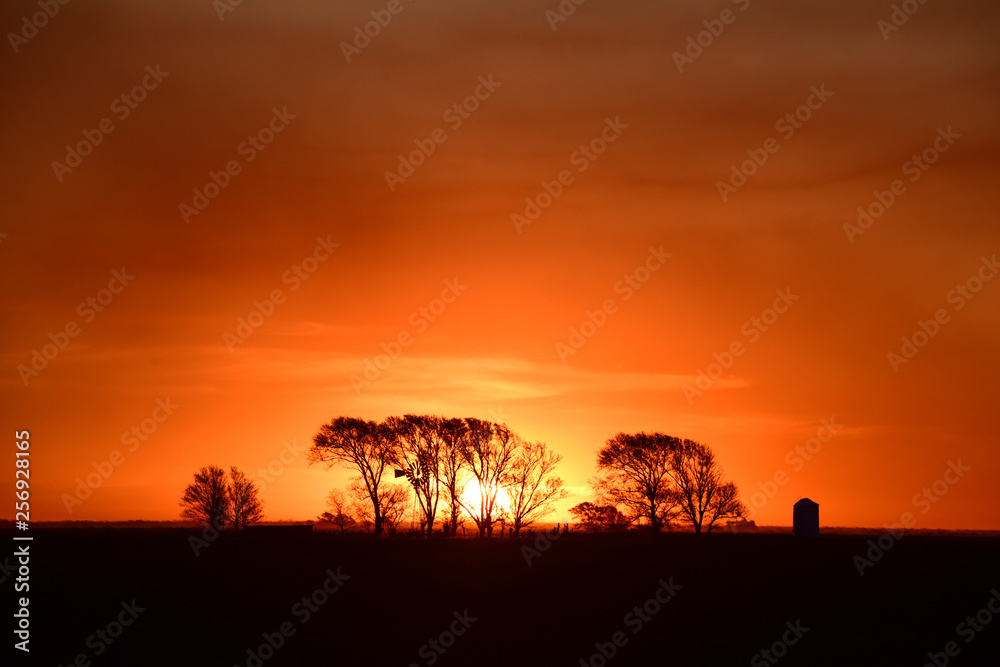 Rural landscape, Buenos Aires province , Argentina