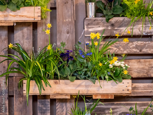 Image of wooden wall with wood boxes full of beautiful colorful flowers. decoration