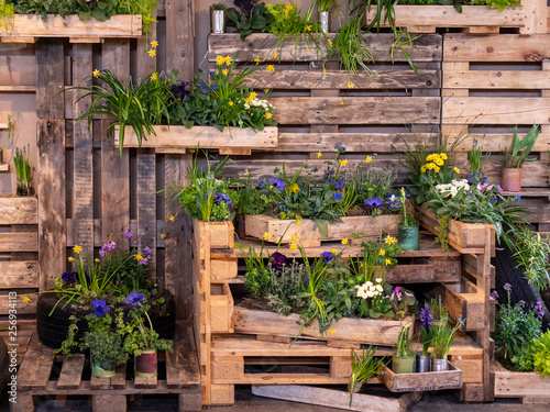 Fototapeta Naklejka Na Ścianę i Meble -  Image of wooden wall with wood boxes full of beautiful colorful flowers. decoration